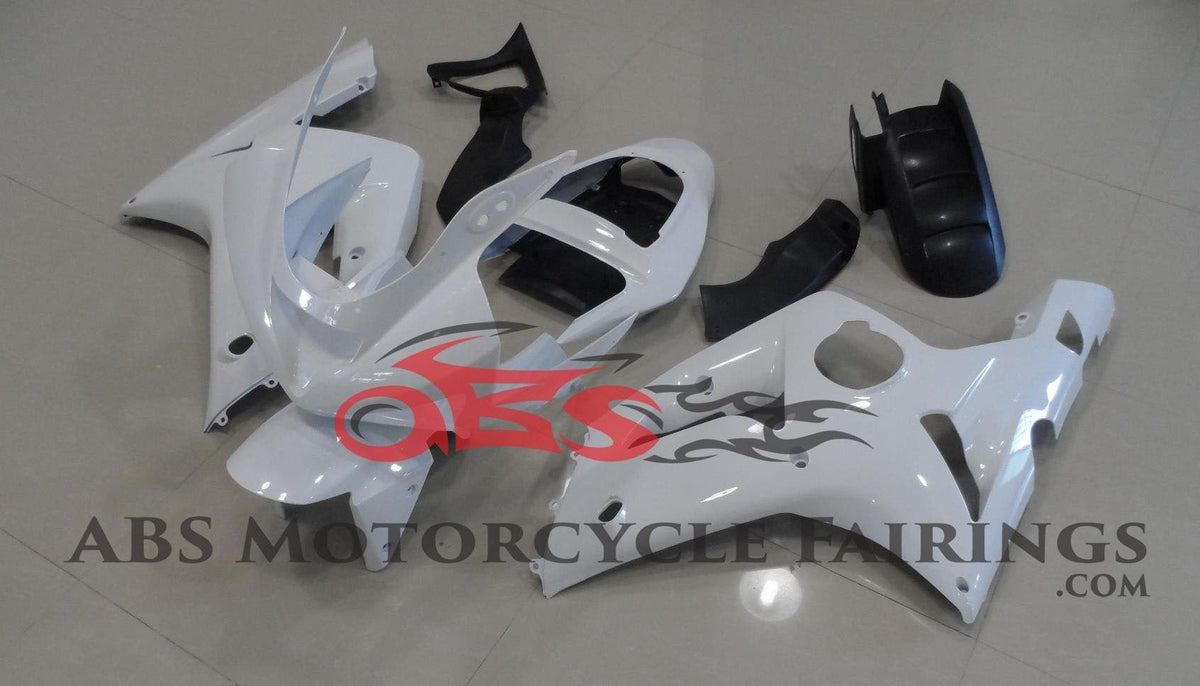 Fairing kit for a Kawasaki ZX6R 636 (2003-2004) White